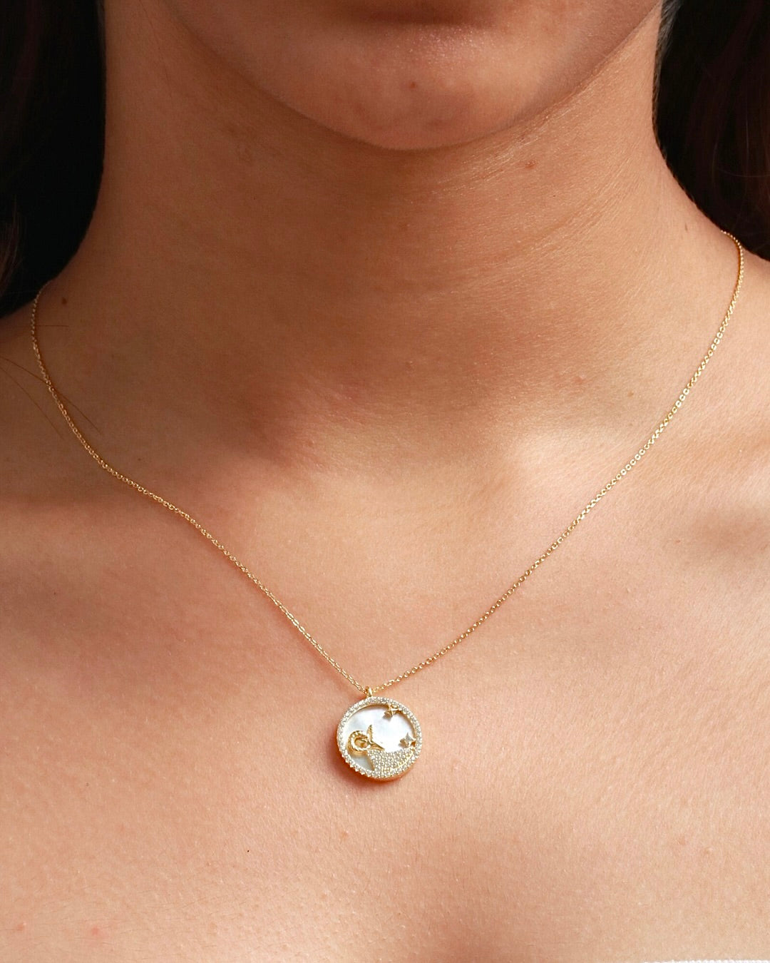 CAPRICON NECKLACE (ROUND)- ZODIAC SIGN